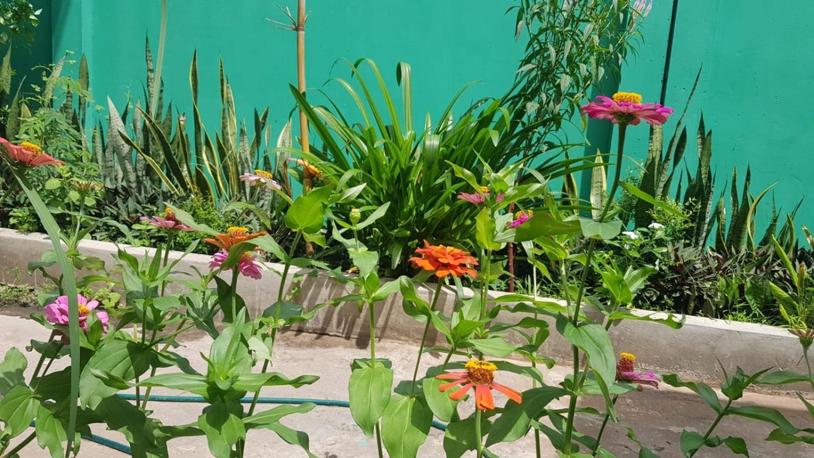 Bloom Garden Bed & Breakfast Siem Reap Exterior photo