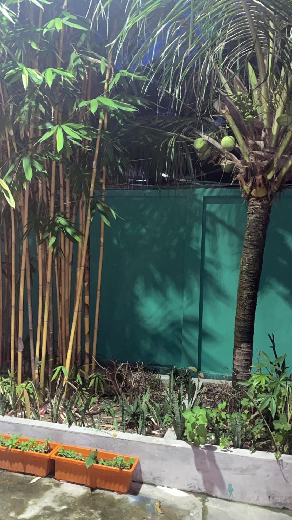 Bloom Garden Bed & Breakfast Siem Reap Exterior photo