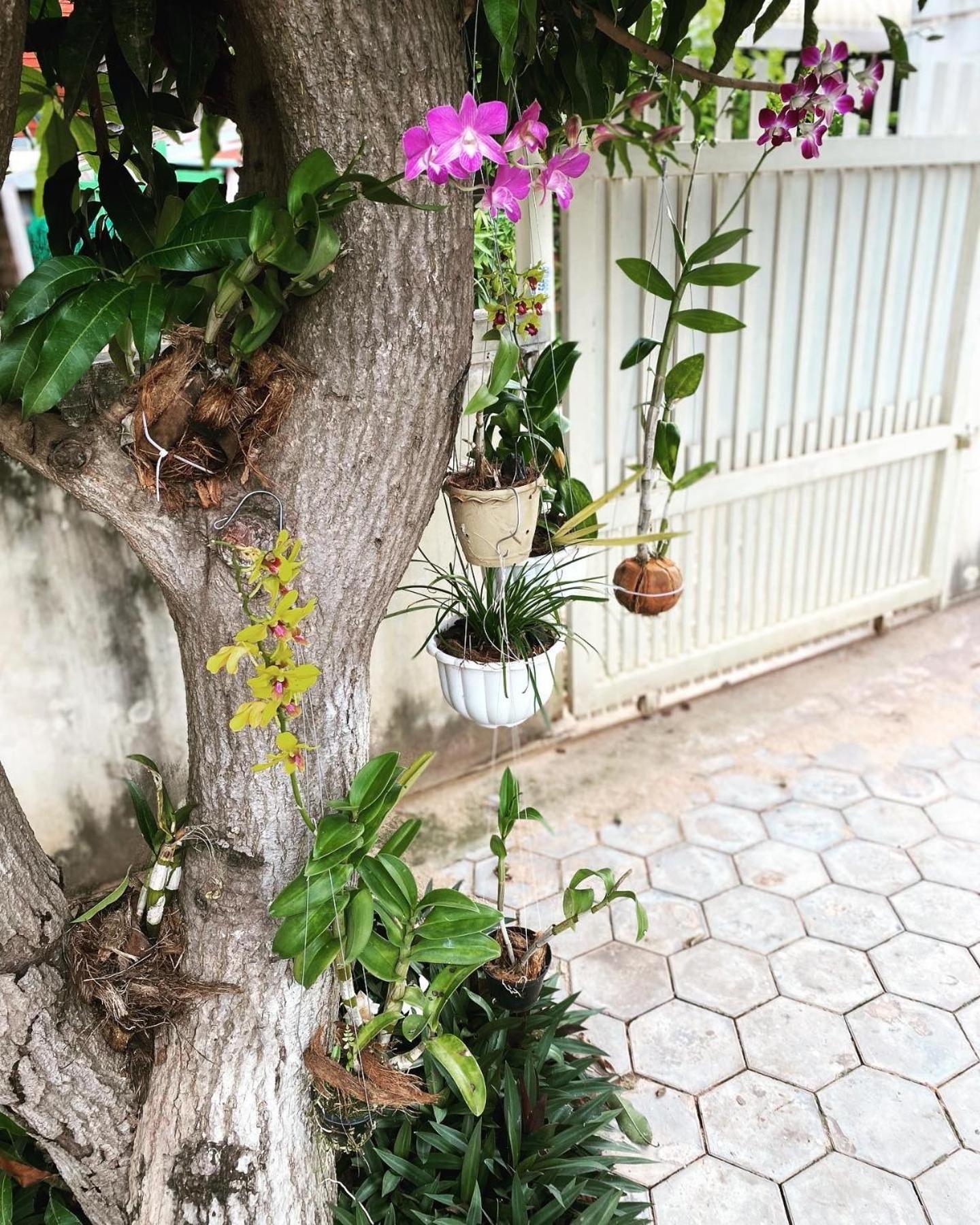 Bloom Garden Bed & Breakfast Siem Reap Exterior photo